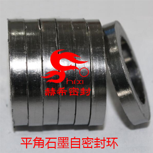 廠家定制訂做平角石墨自密封環(huán)
